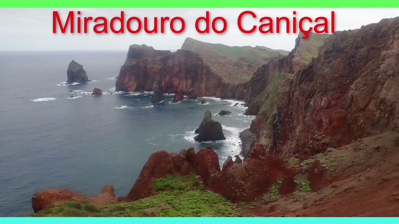 Madeira Birdwatching Tour