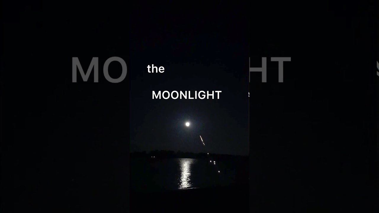 MOONLIGHT KINGDOM. Poem/Music/Image Collage. Oct. 2020. Gilly Ann Hanner.