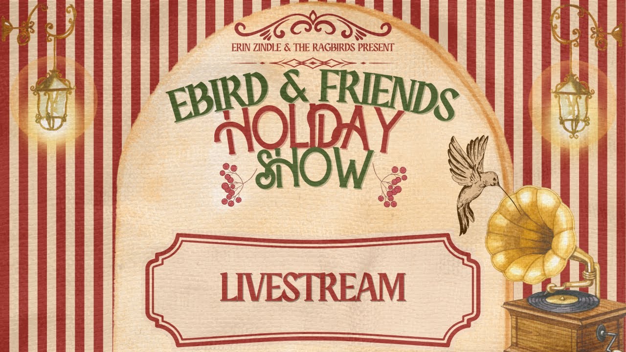Ebird & Friends 17th Annual Holiday Show Livestream!