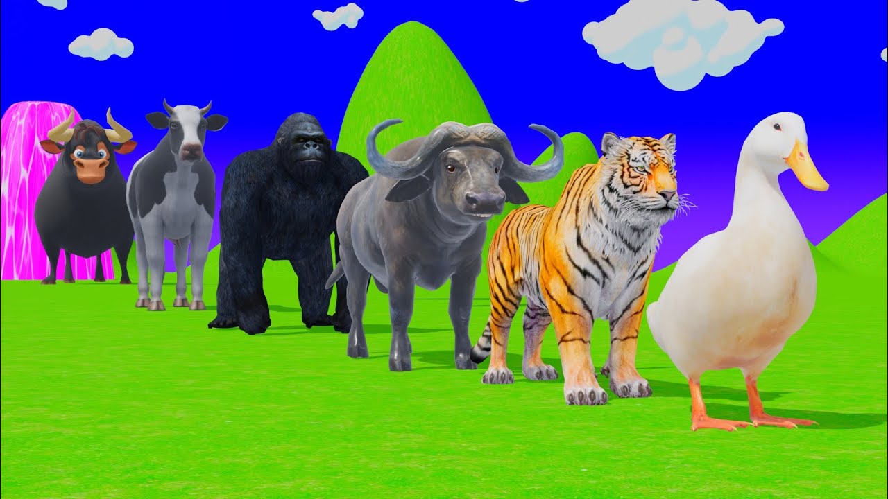 Long Slide Game with Tigers Lion Cow Hippopotamus Gorilla 3d Animal Game Funny 3d Animals