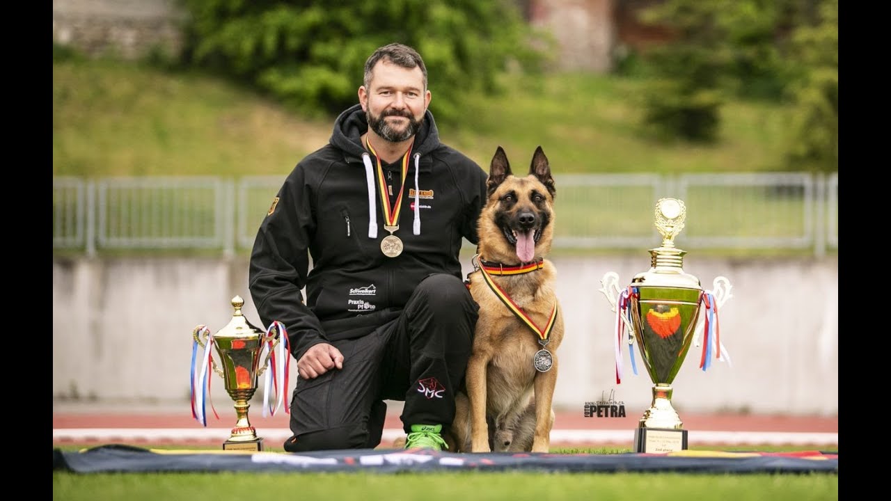 Baxx vom roten Drachen  DMC Körung/Ztp Result 454/5/9810987810978