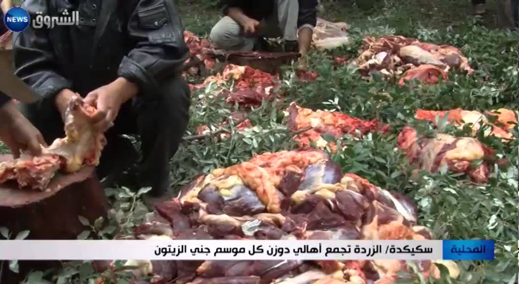 سكيكدة: الزردة تجمع أهالي دوزن كل موسم جني الزيتون