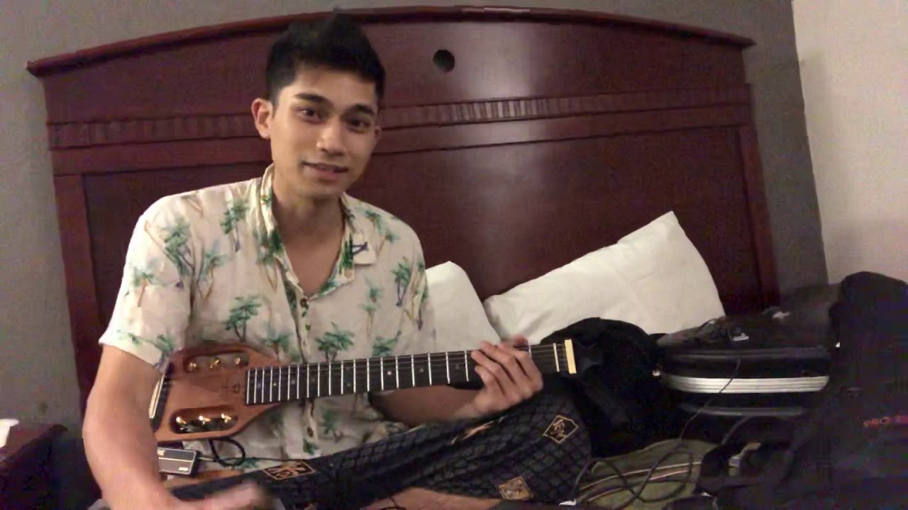 Traveler Guitar “Pro-Series Deluxe” Model Review
