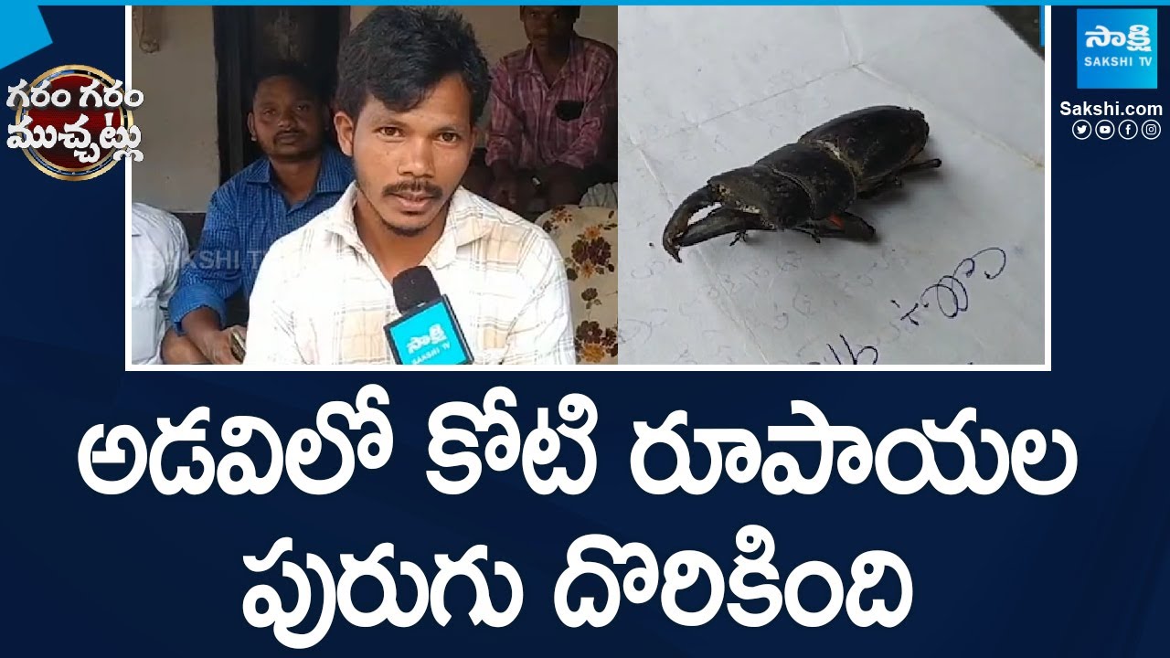 అడవిలో కోటి రూపాయల పురుగు దొరికింది | One Crore Worm Found In Forest| Garam Garam Varthalu @SakshiTV