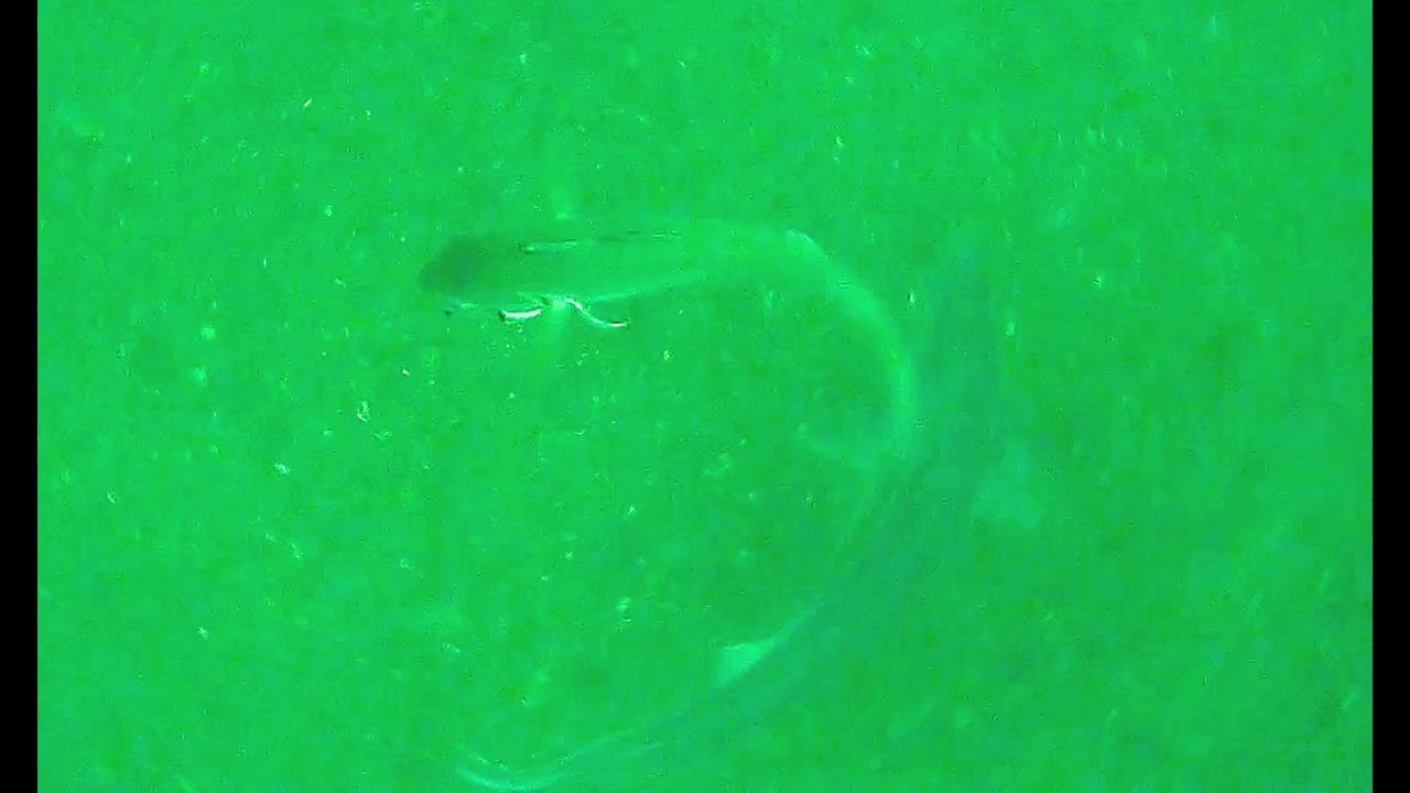 Deep Water Around The Turbot/Ray Marks - July 2022