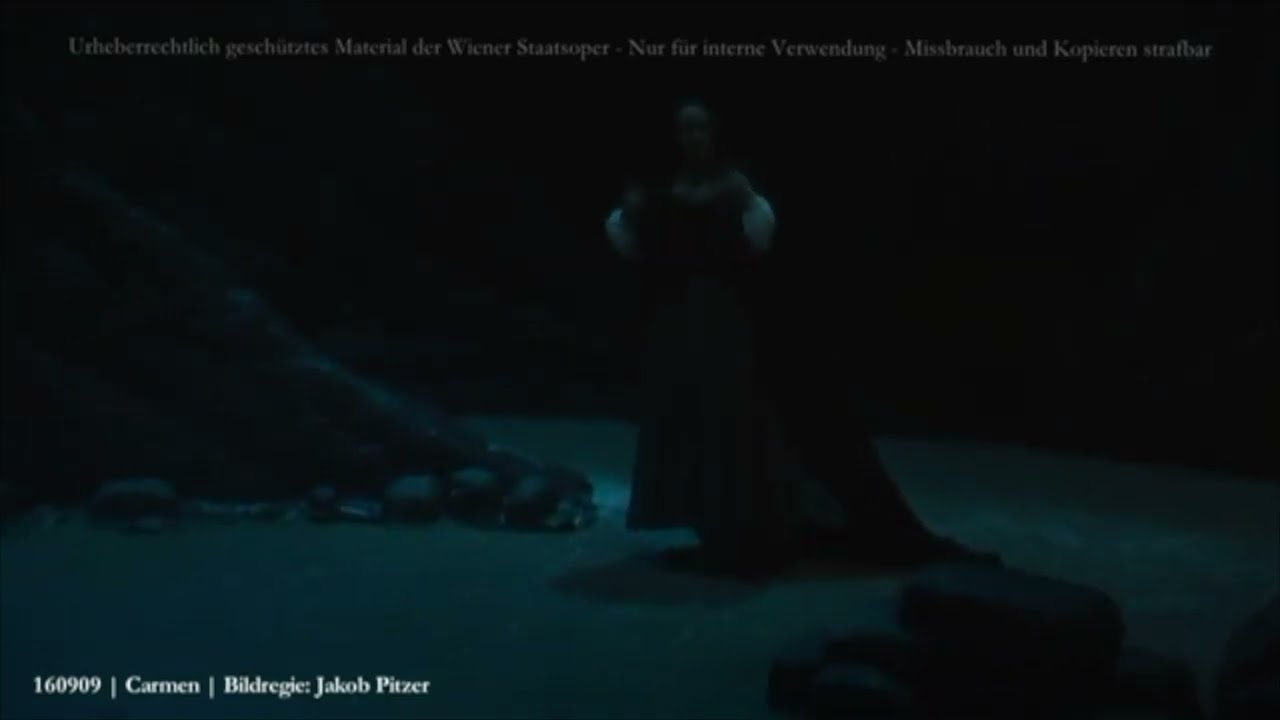 Bizet: Carmen - Horn Solo, 2016 (Ronald Janezic)