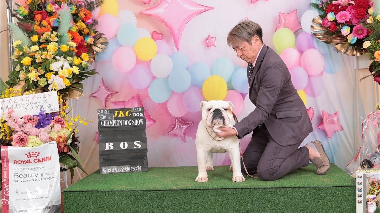 2026.1.18 福山さざなみ全犬種クラブ展　インターミディエイトクラス戦
