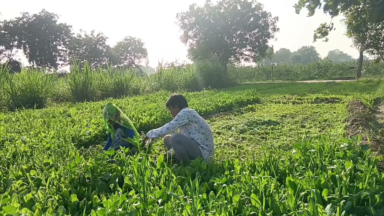 # કોમેડી # વિડિયો
