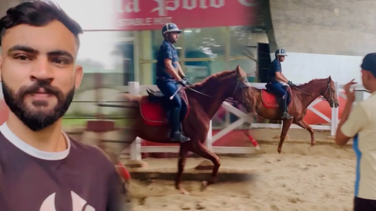 Super 🐴ride with rider 🏇🏻🫵#subscribe #viral #viralvideo #animals #horsevlog #horseriding #trending