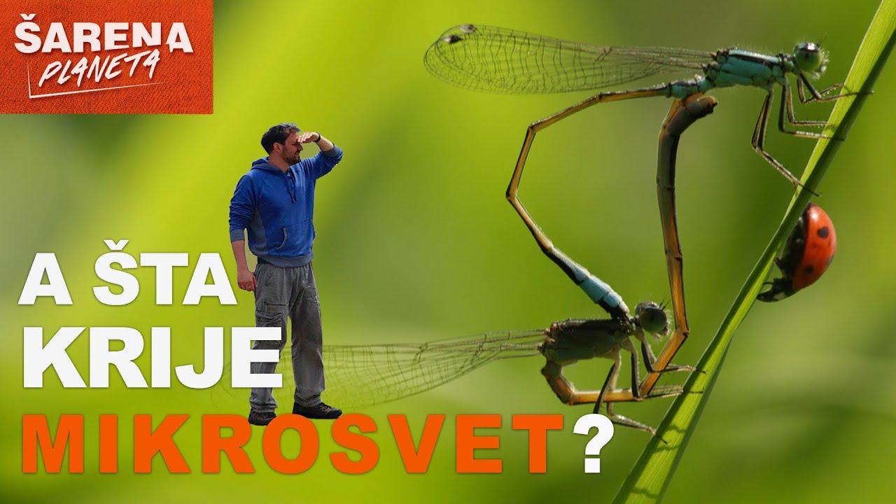 Andrija Jurašin - A ŠTA KRIJE MIKROSVET?