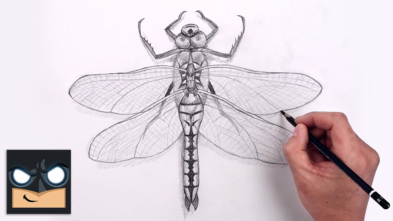How To Draw Dragonfly | Beginners Sketch Art Lesson (Step by Step)