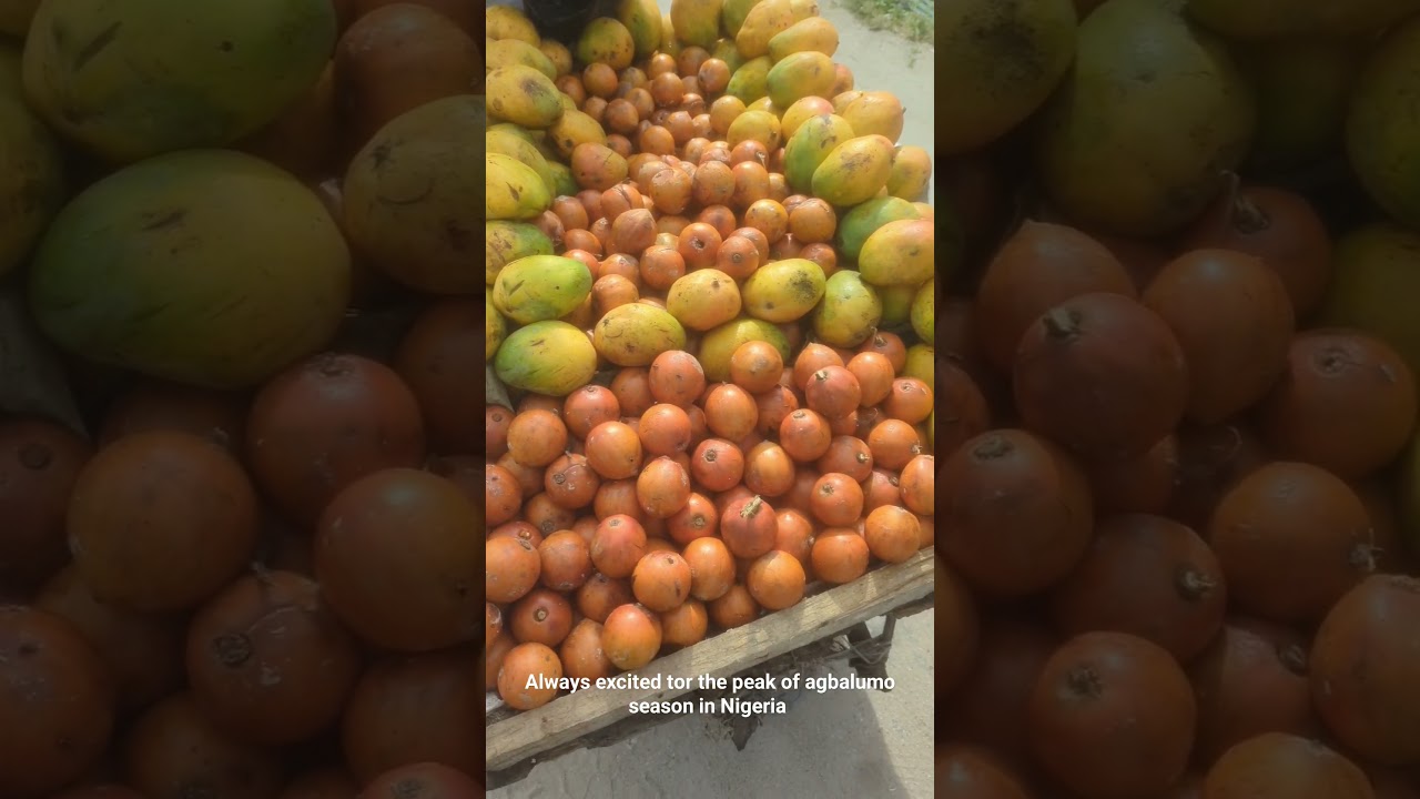 it's 2024 Agbalumo season #agbalumo #nigeria