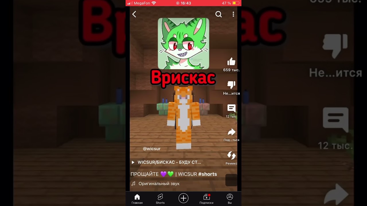 Все видео про котов у бискаса