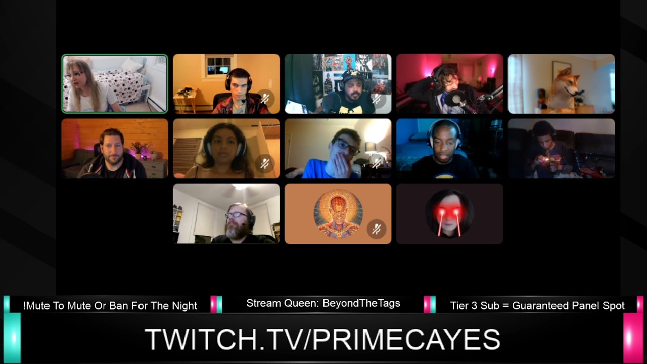Destiny, Harkdan, and Annafrills join the open panel to discuss mental heath and police.
