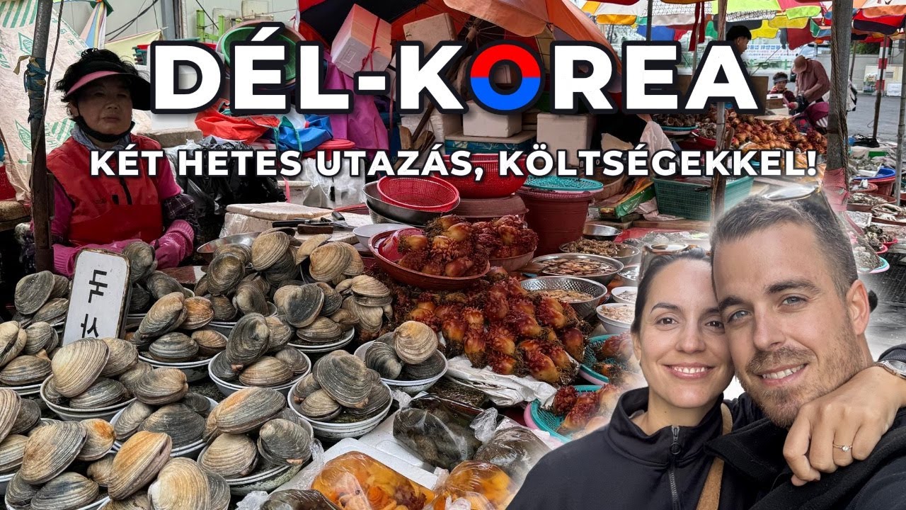 Két hetes utazás DÉL-KOREÁBA!🇰🇷 Jobb hely, mint Japán?! | Debi & Balu