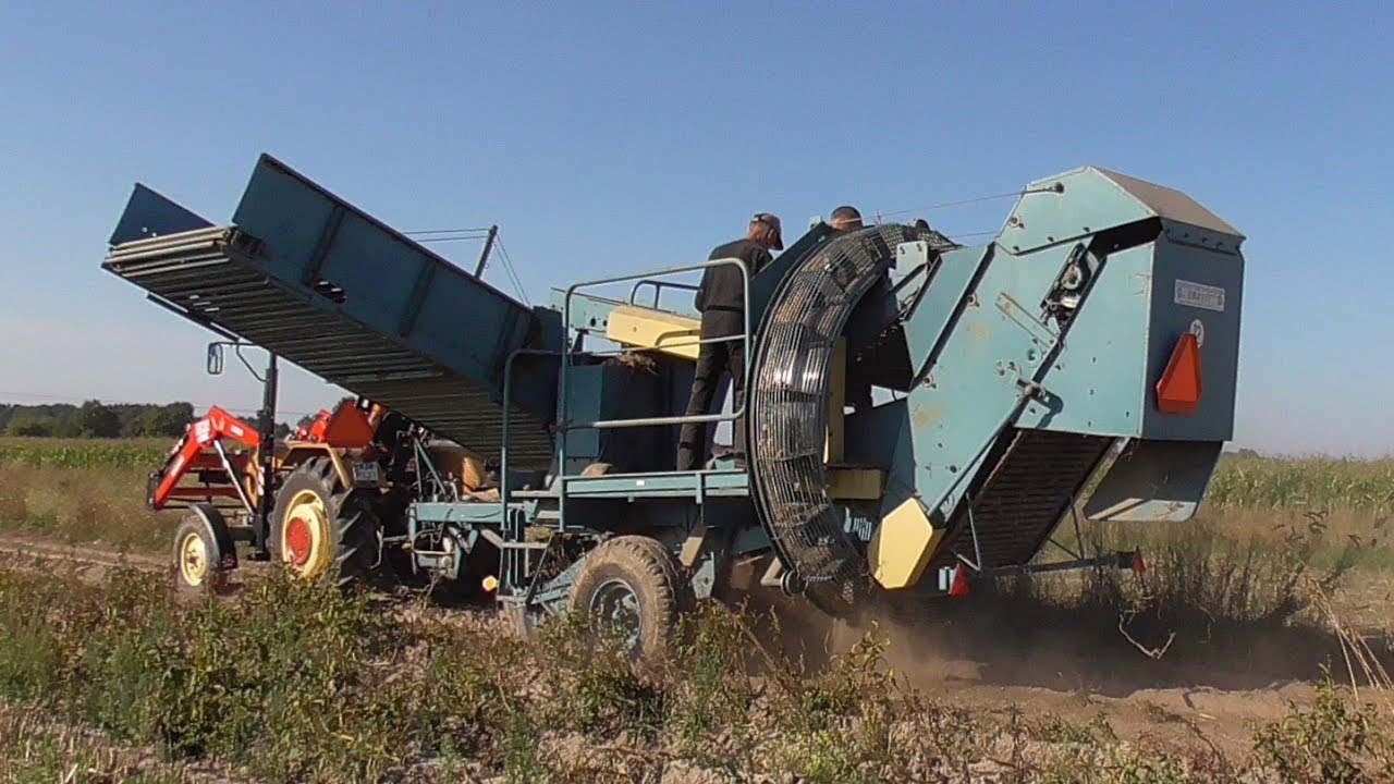 KOPANIE ZIEMNIAKÓW 2019☆Ursus&Zetor㋡AGROPACIORKIYT