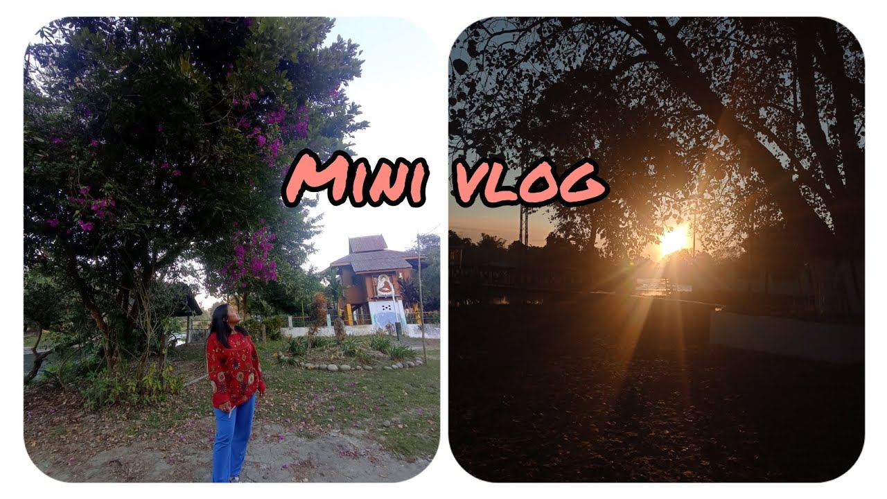 Mini vlog,evening outing with friend 🌼 ||chongkham Diaries ✌️|| #vlog3