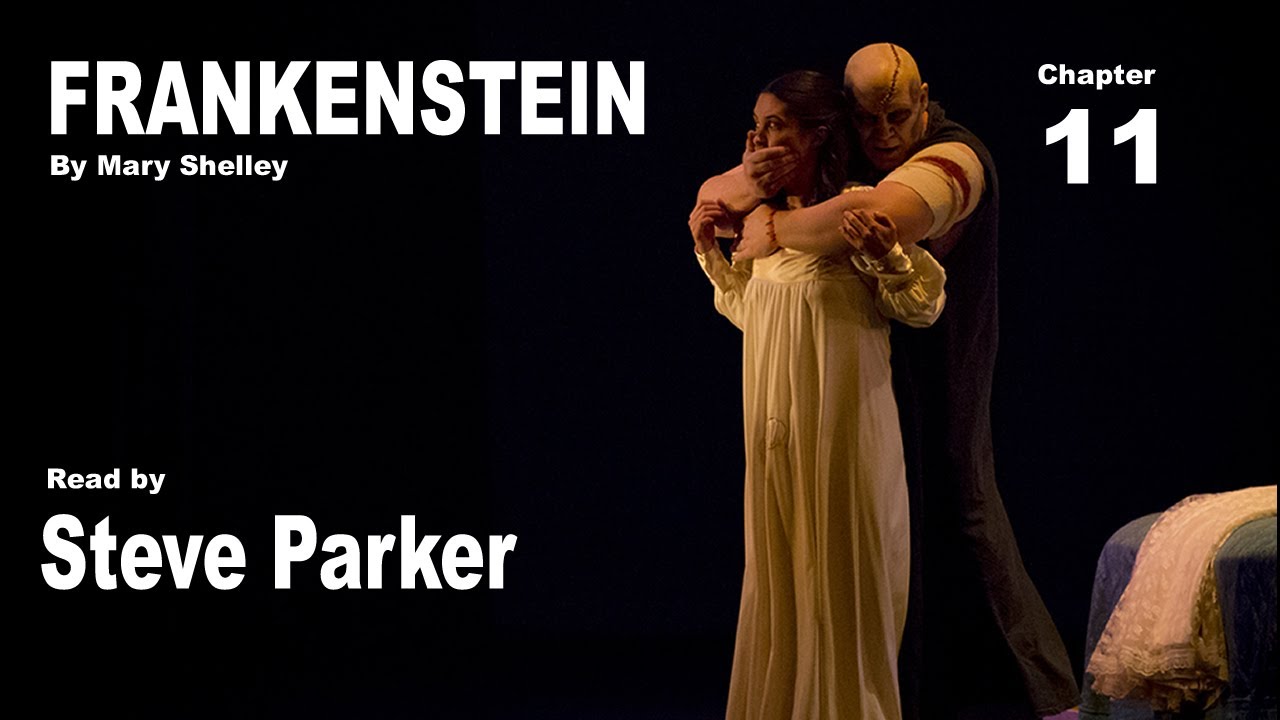 Frankenstein Chapter 11
