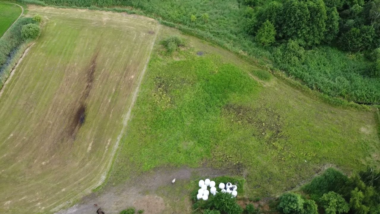 DJI Mavic Mini 1 - CRASH TEST  atak ptaka na drona