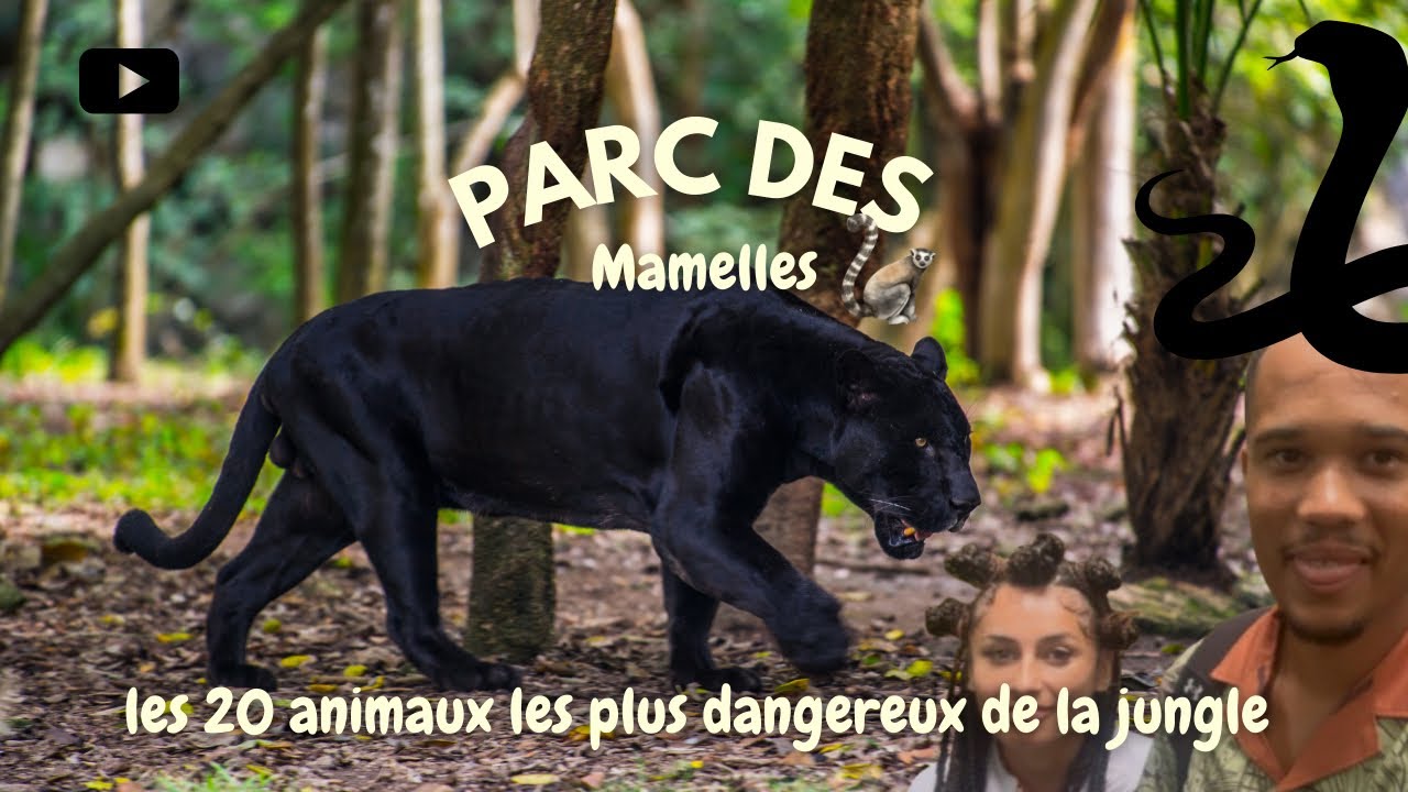 Les 20 Animaux les Plus Dangereux de Guadeloupe (parc des mamelles)