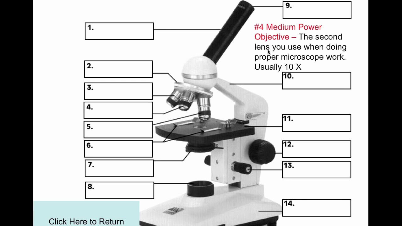 1  Microscope parts & functions of  video