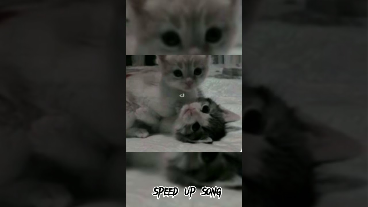 Андрей Губин - Ночь - speed up song