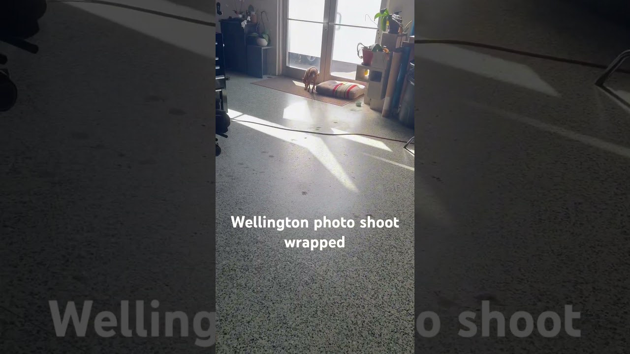 New JPORTER Studios Wellington floor standing full range 2-way #hifi #audiophile