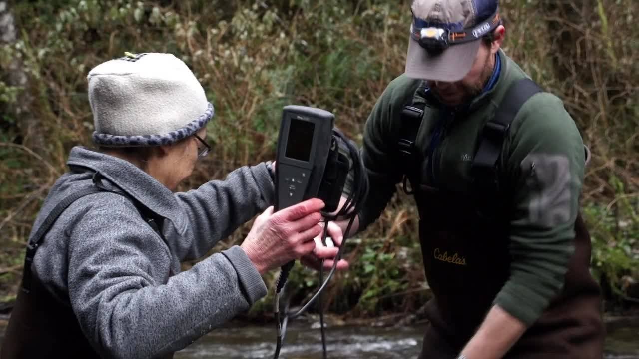 Thornton Creek Restoration | Urban Watershed