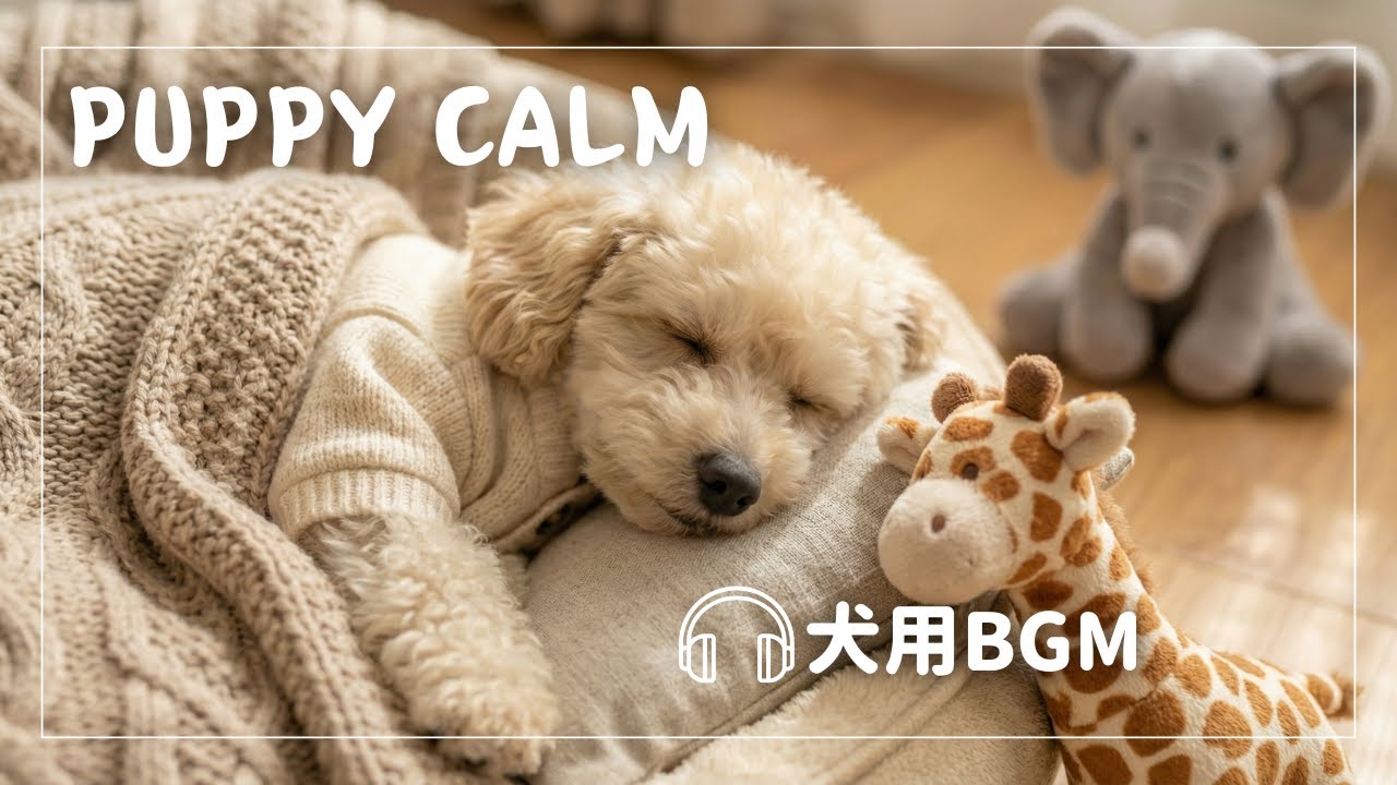 子犬の安心時間に｜やさしく落ち着く犬用BGM｜Gentle Dog Music for Puppies & Calm Time | 6 Hours (No Ads)