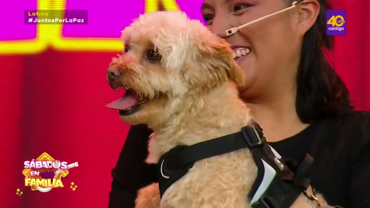 Sábados en Familia: Yago, Snake y Princesa participaron en ‘Mi mascota tiene talento’