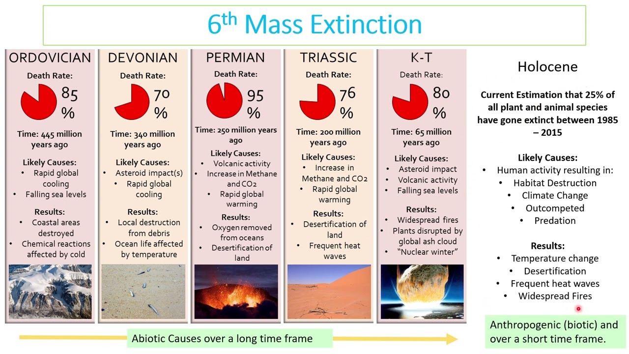 ESS Topic 3 Biodiversity in less than 60 minutes