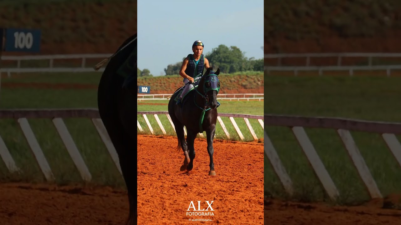 Haras Prata #caballos #turfe #horse #caballosdecarrera