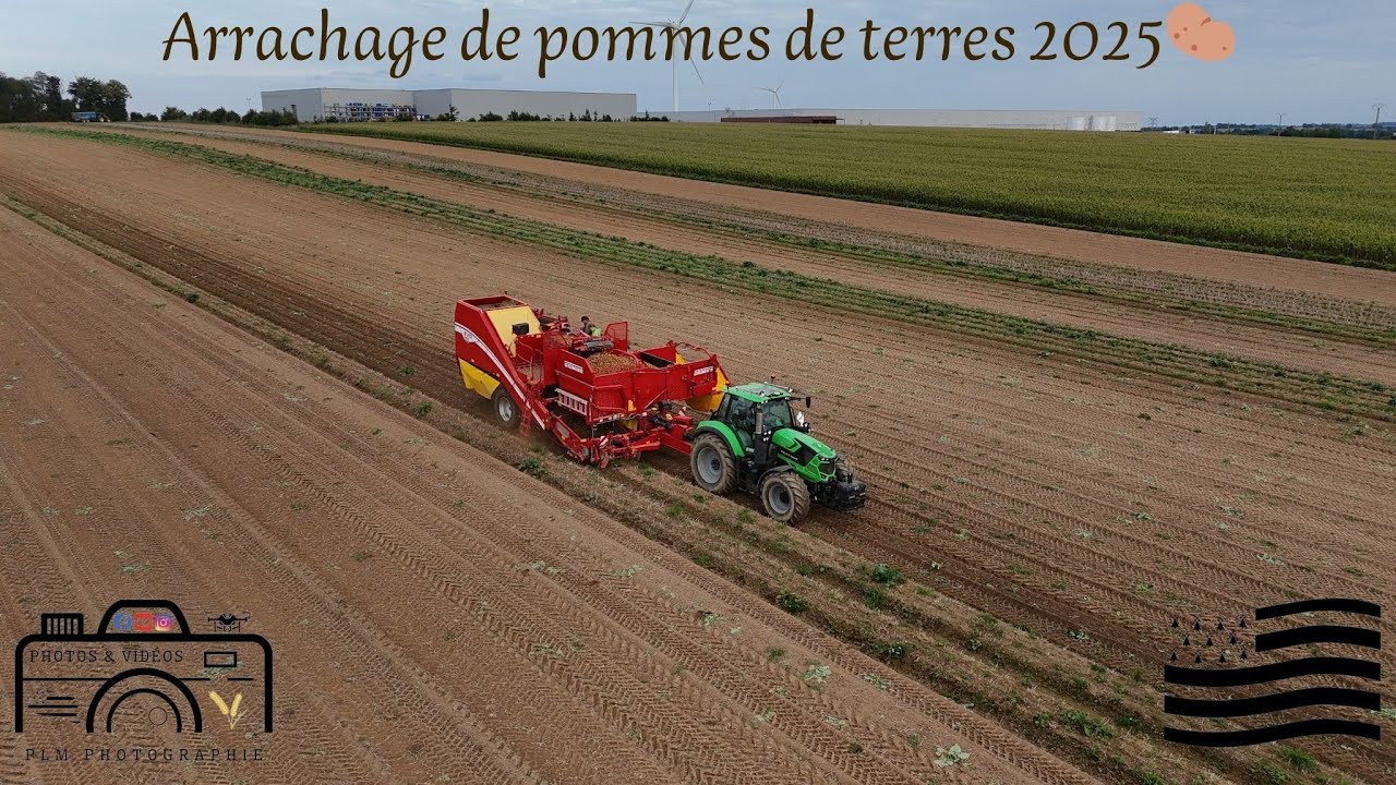 Arrachage de pommes de terre 2025 🥔
