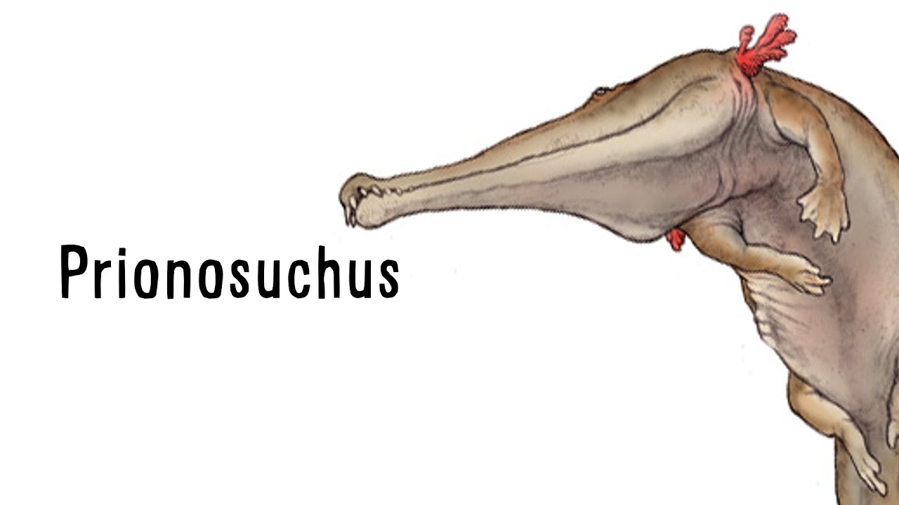 Палеопрофиль &ndash; Prionosuchus