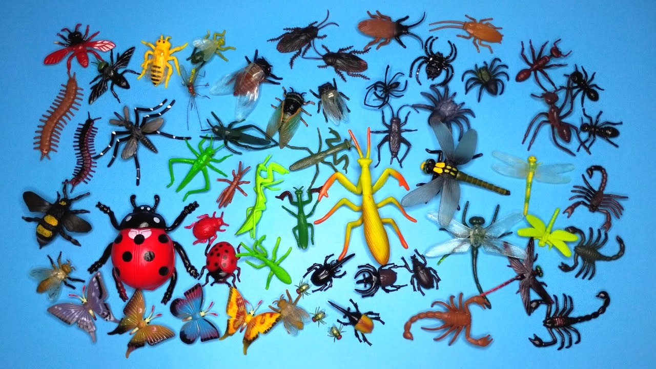 Suara Serangga, Tonggeret, Nyamuk, Lalat, Tawon, Jangkrik, Lebah, Belalang