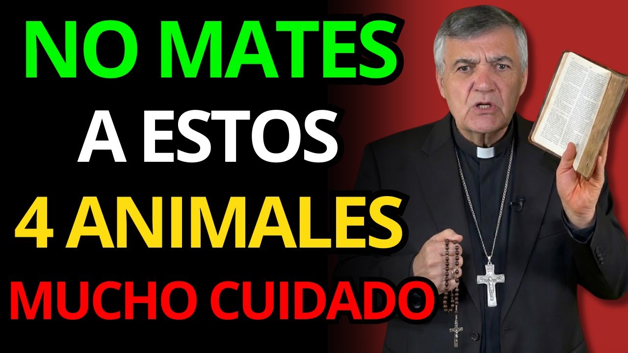 DIOS NO QUIERA MATAR A ESTOS 4 ANIMALES O LO PERDERÁS TODO | Padre Santiago Martín