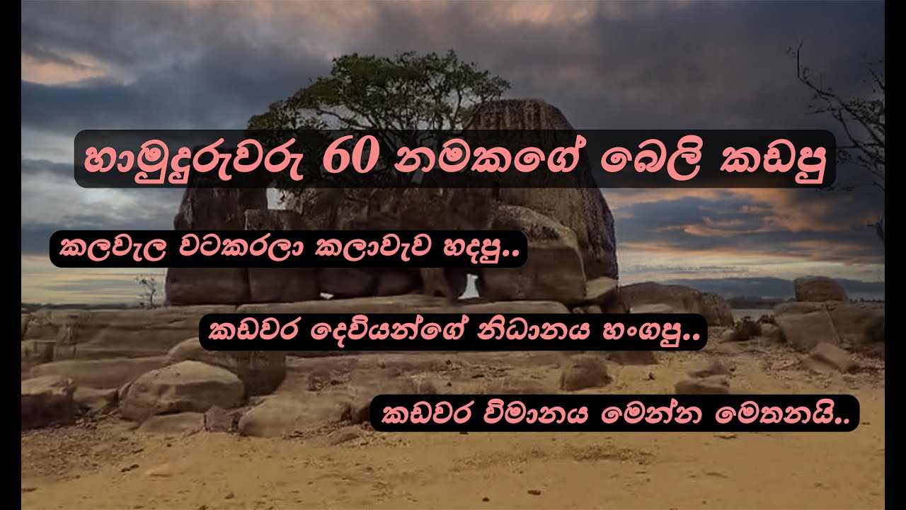 හාමුදුරුවරු 60 නමකගේ බෙලි කඩපු තැන...😱🤫| සාරථී 🌿| Sarathee