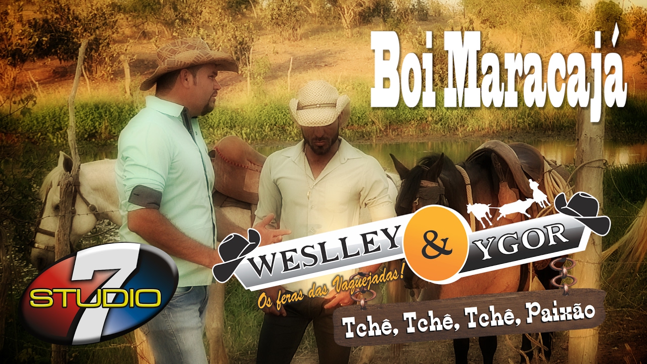 Weslley e Ygor 2017 Boi maracaj&aacute;