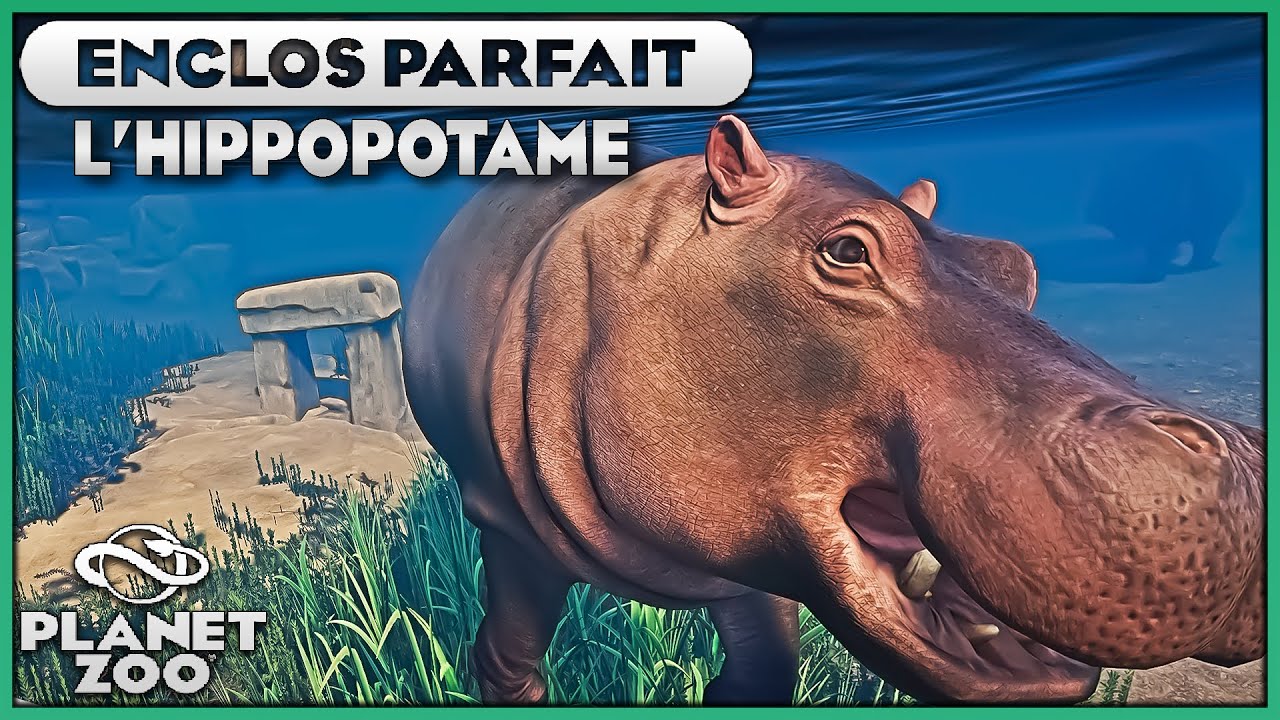 Les Hippopotames (Baie vitrée aquatique) | LES ENCLOS PARFAITS : EPISODE 32 | PLANET ZOO