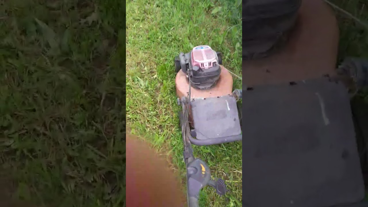 Taglio erba con Tagliaerba honda 160 cc honda lawnmower #honda #tagliaerba #garden #nature