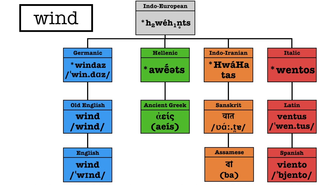 Indo-European languages noun comparison