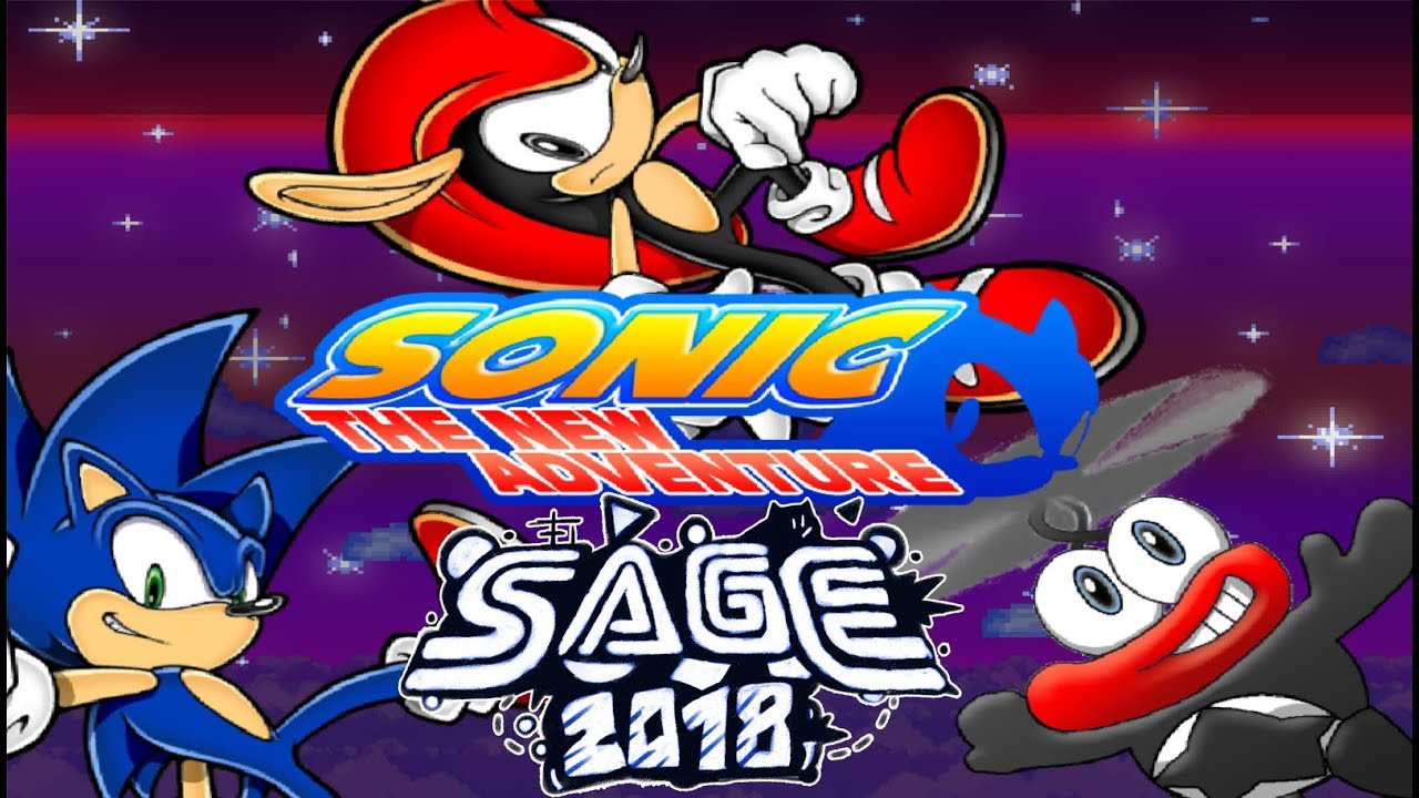 Sonic The New Adventure (SAGE 2018) (fan game)