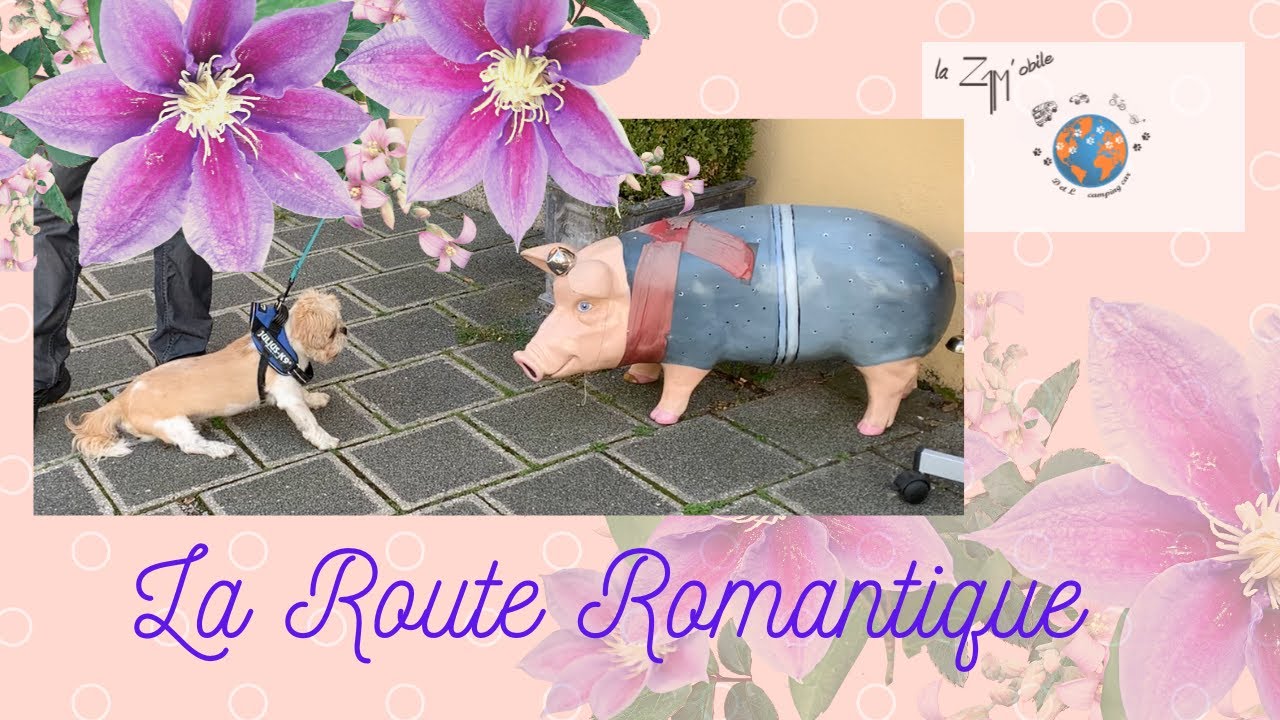 #3 La Zamobile Camping Car : Allemagne partie 3, la Route Romantique