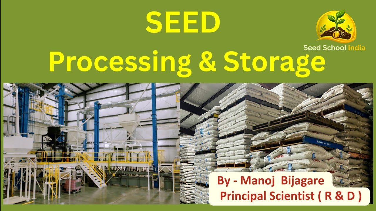 Scientific Seed Processing  | Seed Storage Management | Temperature, RH & Storage Principles