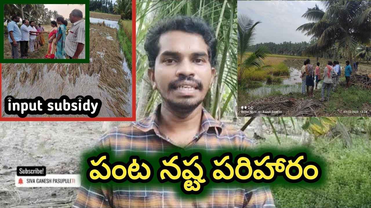 Panta Nasta in AP 2023 - Panta Nasta Pariharam - Input Subsidy 2023 || Siva Ganesh Pasupuleti