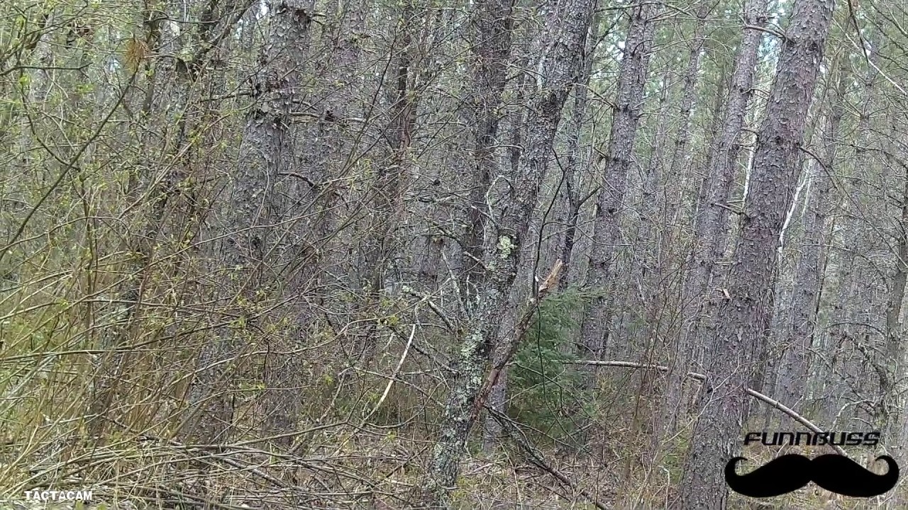 One Man, One Bird... One Tactacam 4.0