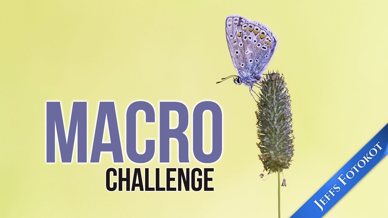 Challenge #01: Macro