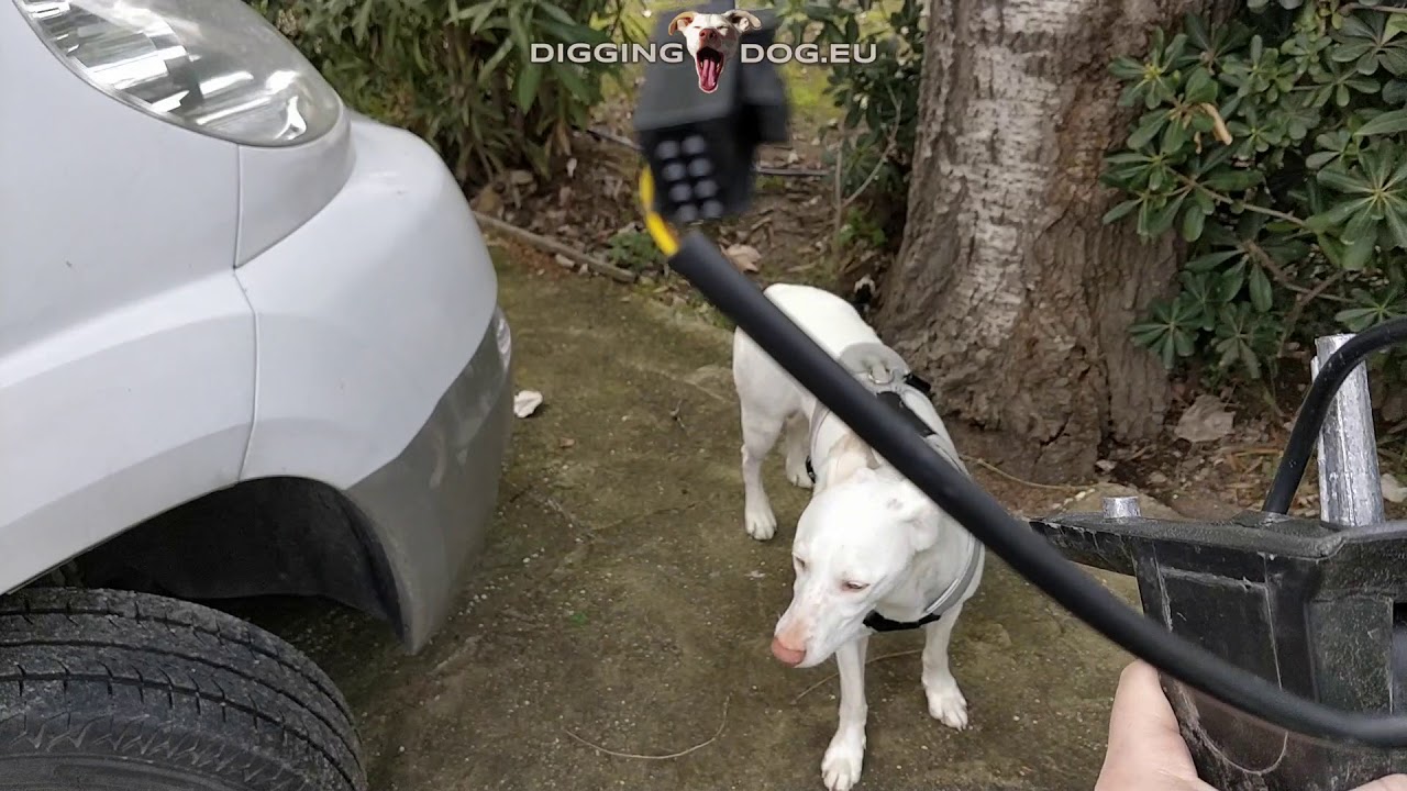How to Replace a Fiat Ducato Mirror (2006-2014)