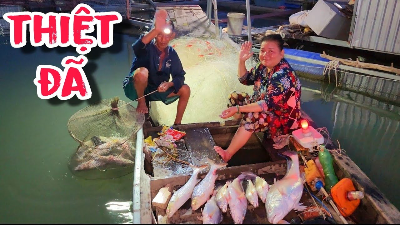 Chiều Tà Hốt Nguyên Bầy Cá , Thấy Tim Lên Mấy Anh Em Mừng Rỡ | #66TV #fishing