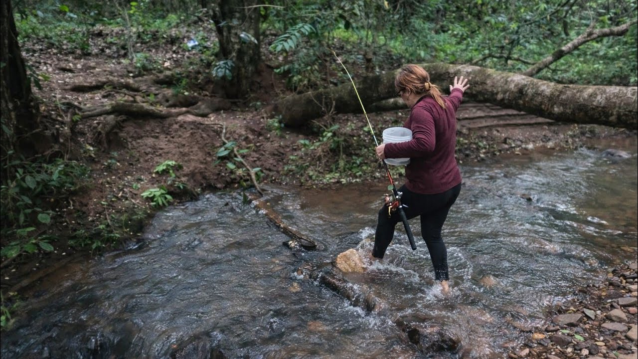 Larguei Tudo e Fui Pro Mato | Pescaria, Acampamento e Comida Raiz